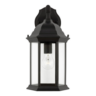 Sevier One Light Outdoor Wall Lantern in Black (1|8938701-12)