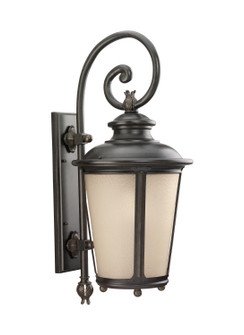 Cape May One Light Outdoor Wall Lantern in Burled Iron (1|88243-780)