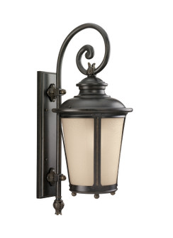 Cape May One Light Outdoor Wall Lantern in Burled Iron (1|88242EN3-780)