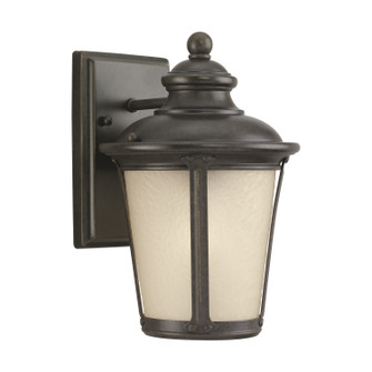 Cape May One Light Outdoor Wall Lantern in Burled Iron (1|88240-780)