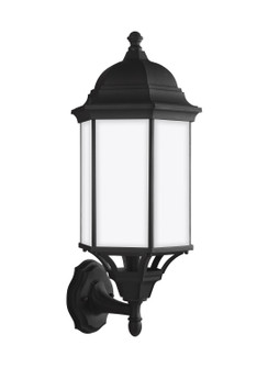Sevier One Light Outdoor Wall Lantern in Black (1|8638751EN3-12)
