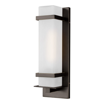 Alban One Light Outdoor Wall Lantern in Antique Bronze (1|8520701-71)