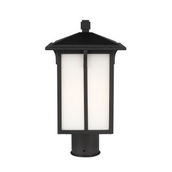 Tomek One Light Outdoor Post Lantern in Black (1|8252701-12)