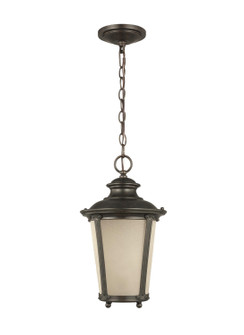 Cape May One Light Outdoor Pendant in Burled Iron (1|62240EN3-780)