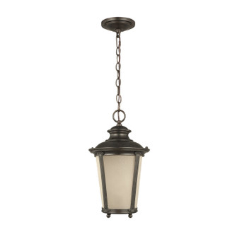 Cape May One Light Outdoor Pendant in Burled Iron (1|62240-780)