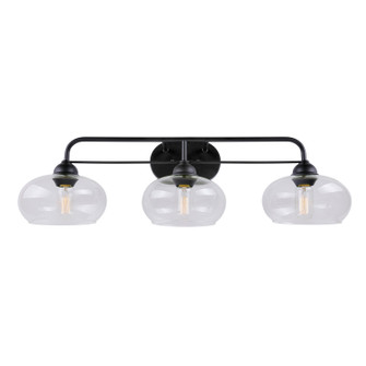 Cameron Three Light Bath Vanity Light in Black (112|5732-03-04)