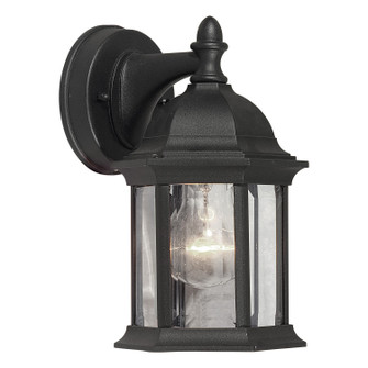 Family Number 31 One Light Outdoor Lantern in Black (112|1776-01-04)