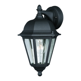 One Light Outdoor Lantern in Black (112|1761-01-04)