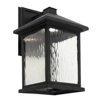 LED Outdoor Light in Black (112|17100-04)