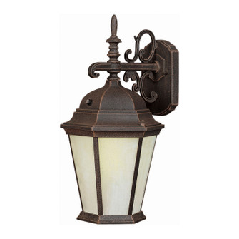 One Light Outdoor Lantern in Painted Rust (112|17015-01-28)