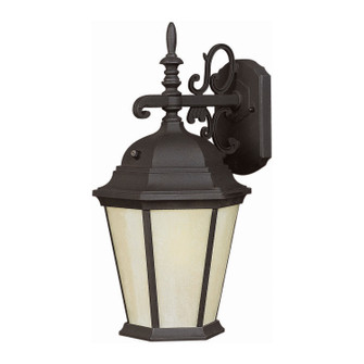 One Light Outdoor Lantern in Black (112|17015-01-04)