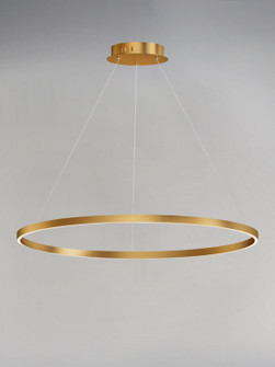 Groove WiZ LED Pendant in Gold (86|E22728-GLD)