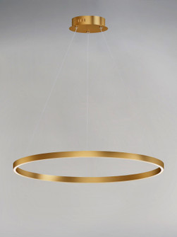 Groove WiZ LED Pendant in Gold (86|E22726-GLD)