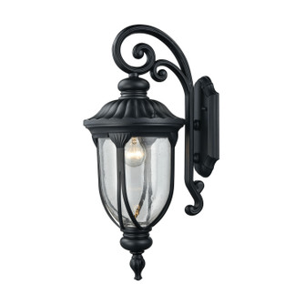 Derry Hill One Light Outdoor Wall Sconce in Matte Black (45|87101/1)