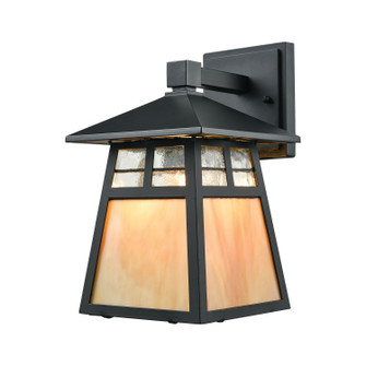 Cottage One Light Outdoor Wall Sconce in Matte Black (45|87050/1)