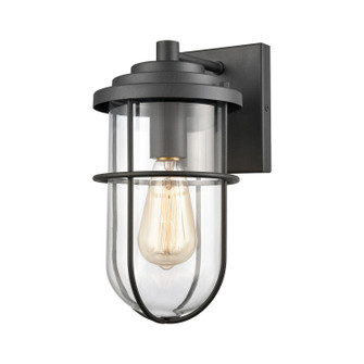 Coastal Farm One Light Outdoor Wall Sconce in Charcoal (45|69373/1)
