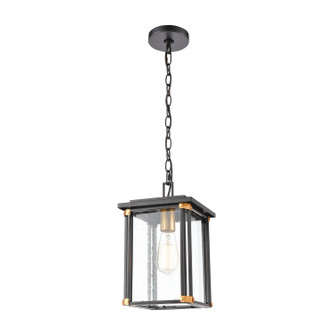 Vincentown One Light Outdoor Pendant in Matte Black (45|46723/1)