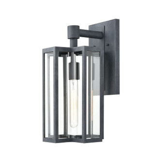 Bianca One Light Outdoor Wall Sconce in Aged Zinc (45|45165/1)