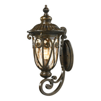 Logansport One Light Outdoor Wall Sconce in Hazelnut Bronze (45|45071/1)