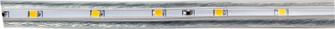 One 90 Ft Roll Flat LED Rope Lt 1W/Ft (507|EDF11WW-90)