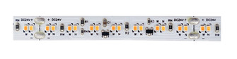 LED Tape Lgt 3.5W/Ft 24V/Ft 18K-30K Sd (507|E36-24SD-16)