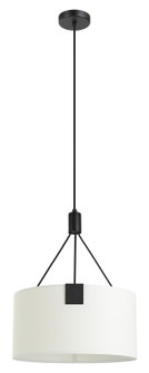 Tortola Three Light Pendant in Black (217|39882A)