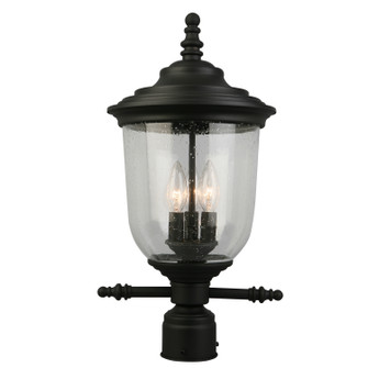 Pinedale Three Light Outdoor Post Mount in Matte Black (217|202804A)