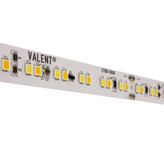 LED Tape Light (399|DI-24V-VL1-WD2718-100)