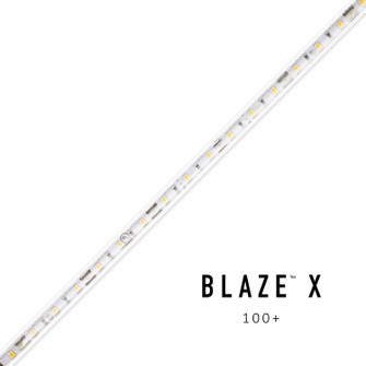 LED Tape Light (399|DI-12V-BLX1-24-016)