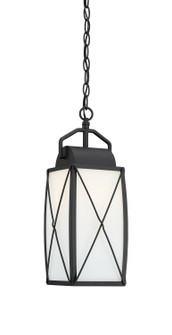 Fairlington One Light Hanging Lantern in Black (43|94694-BK)