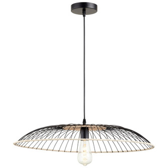 One Light Pendant in Matte Black (208|10794)