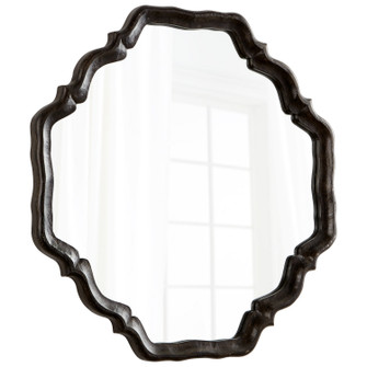 Mirror in Antique Brown (208|08230)