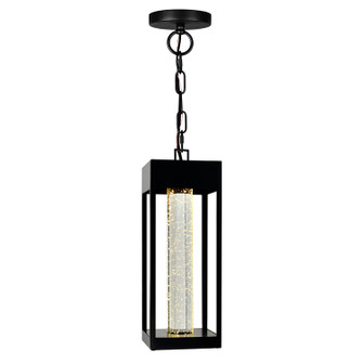 Rochester LED Outdoor Hanging Lantern in Black (401|1696P5-1-101)