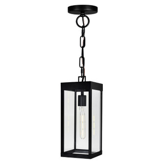 Windsor One Light Outdoor Hanging Lantern in Black (401|1695P7-1-101)
