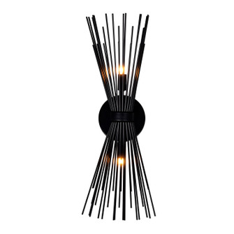 Savannah Two Light Wall Sconce in Black (401|1034W8-2-101)