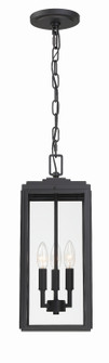 Byron Three Light Outdoor Pendant in Matte Black (60|BYR-80105-MK)