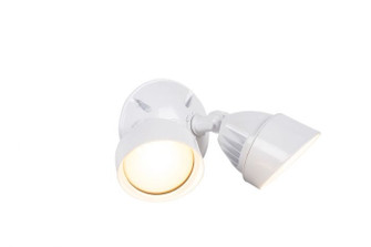 LED Flood LED Outdoor Flood in White (46|Z422-W-LED)