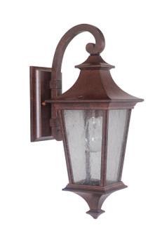 Argent One Light Outdoor Wall Lantern in Aged Bronze Textured (46|Z1354-AG)