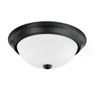 Bates Two Light Flush Mount in Matte Black (65|214722MB)