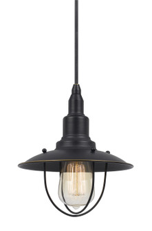 ALLENTOWN One Light Pendant in Brushed Steel (225|UP-1113-6-DB)