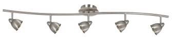 Serpentine Five Light Pendant in Brushed Steel (225|SL-954-5-BS/CBS)