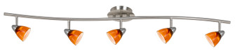 Serpentine Five Light Pendant in Brushed Steel (225|SL-954-5-BS/AMS)