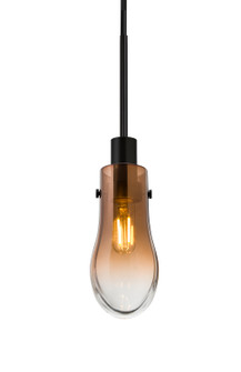 Wish One Light Pendant in Black (74|J-WISHAM-EDIL-BK)