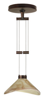 Hoppi One Light Pendant in Bronze (74|1XA-191383-BR)