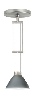 Domi One Light Pendant in Satin Nickel (74|1XA-1743TN-SN)