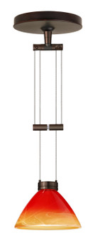 Domi One Light Pendant in Bronze (74|1XA-1743SL-BR)