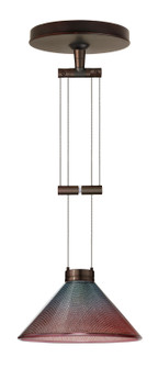 Kona One Light Pendant in Bronze (74|1XA-117691-BR)