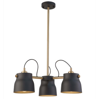 Euro Industrial Three Light Chandelier in Matte Black & Harvest Brass (78|AC11363VB)