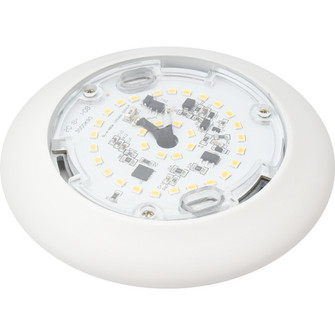 Quick Disc 6 Quick Disc in White (303|QD6-3CCT-WH)