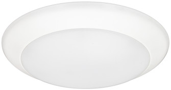 Quick Disc 6 Quick Disc in White (303|QD6-30-WH)